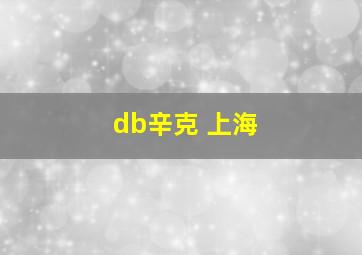 db辛克 上海